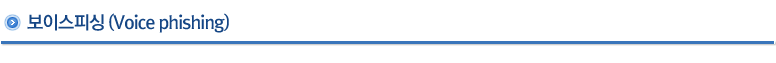 보이스피싱(Voice phishing)